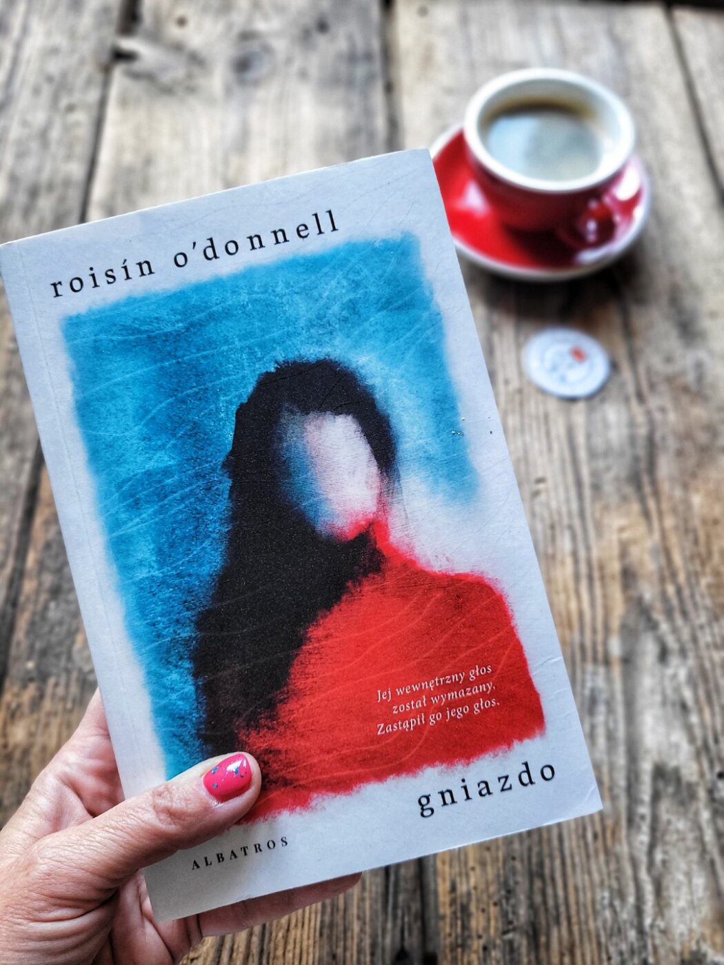 "Gniazdo" Roisín O’Donnell powieść o przemocy emocjonalnej